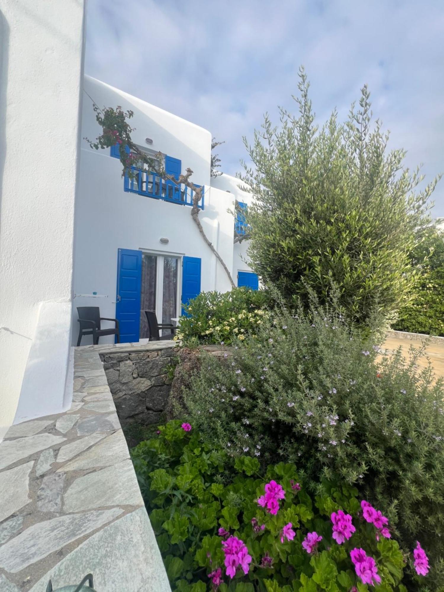 Anemos Apartments Ornos  Luaran gambar